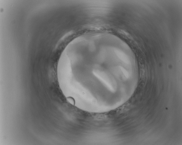 X0000075901446200610151804