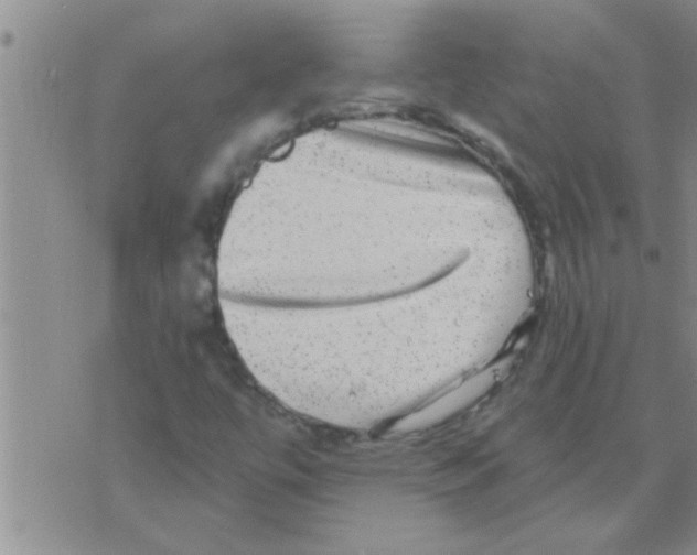 X0000075901447200610151804