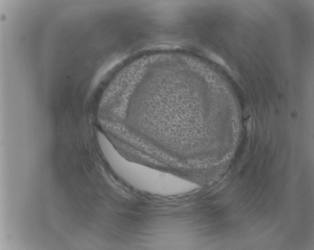 X0000075901448200610151804