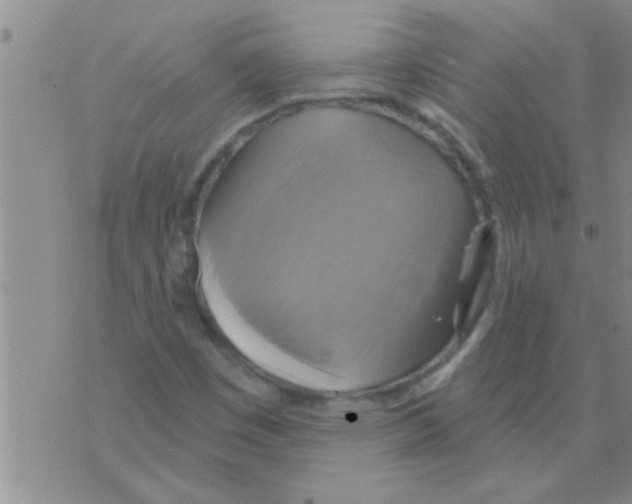 X0000075901449200610151804