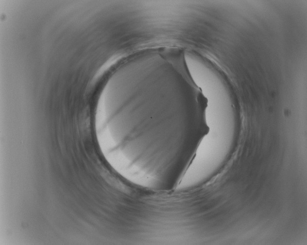 X0000075901450200610151804