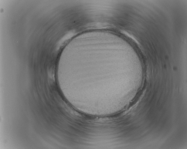 X0000075901451200610151804