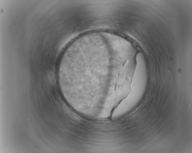 X0000075901452200610151804