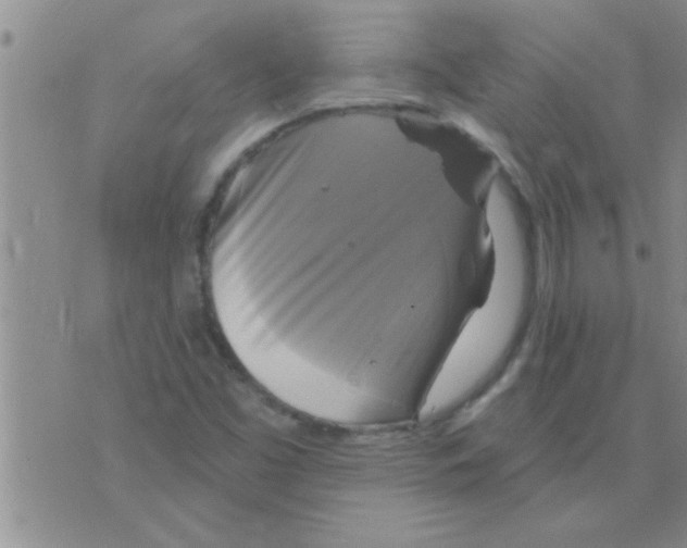 X0000075901453200610151804