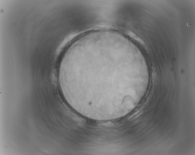 X0000075901454200610151804