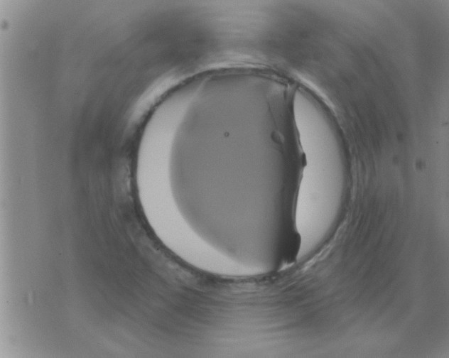 X0000075901455200610151804