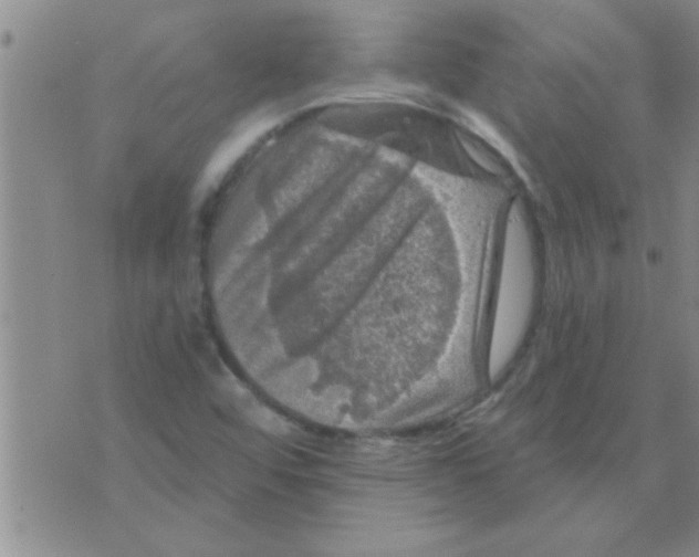 X0000075901456200610151804