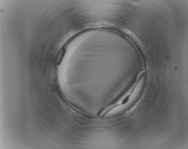 X0000075901457200610151804