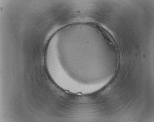 X0000075901459200610151804