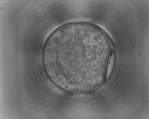 X0000075901460200610151804