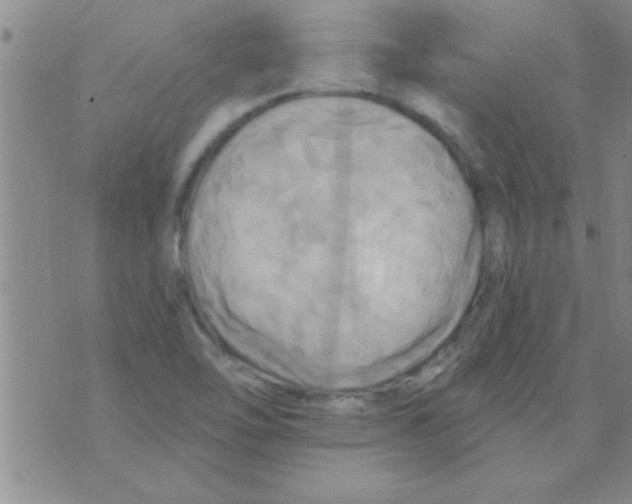 X0000075901462200610151804