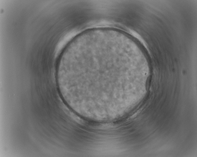 X0000075901464200610151804