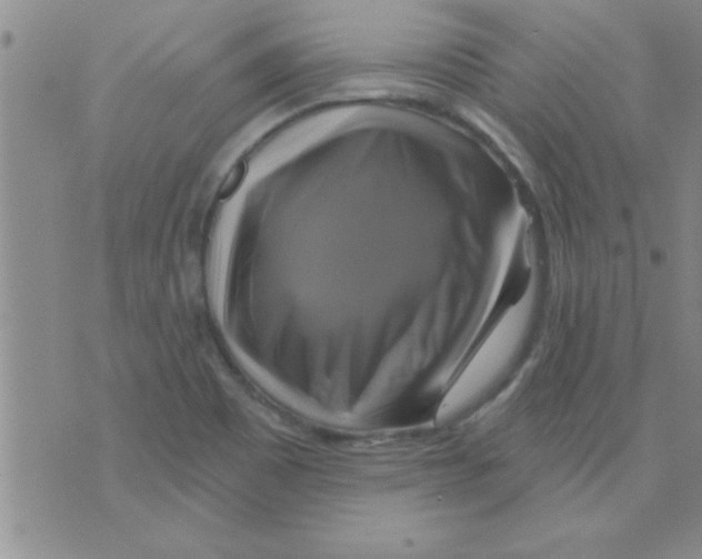 X0000075901465200610151804