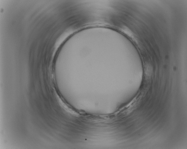 X0000075901466200610151804