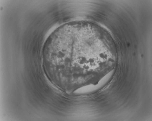 X0000075901467200610151804