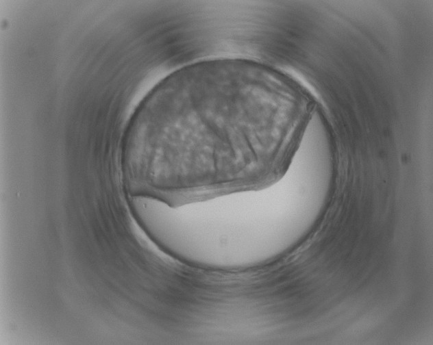 X0000075901468200610151804