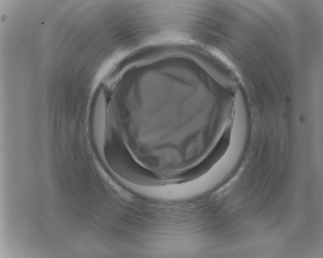 X0000075901469200610151804