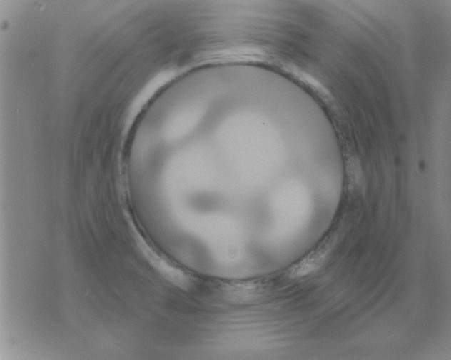 X0000075901470200610151804