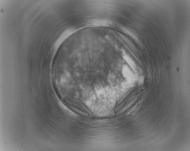 X0000075901471200610151804