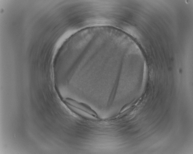 X0000075901472200610151804