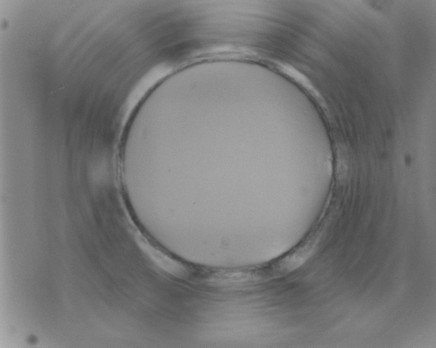 X0000075901474200610151804