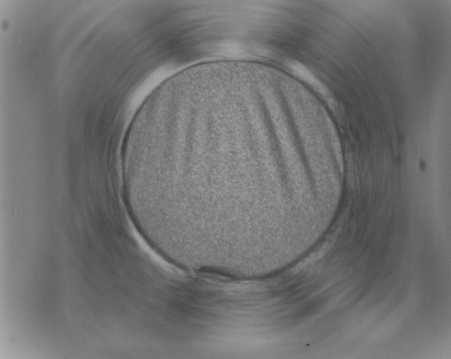 X0000075901479200610151804