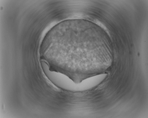 X0000075901480200610151804