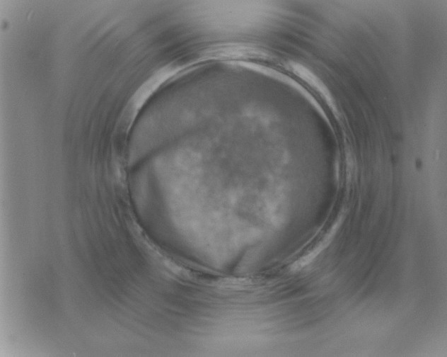 X0000075901481200610151804