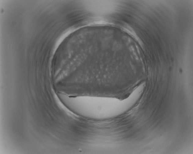 X0000075901483200610151804