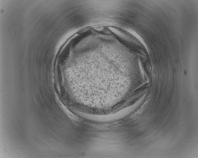 X0000075901485200610151804