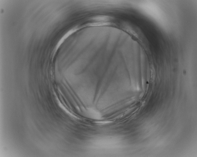 X0000075901487200610151804