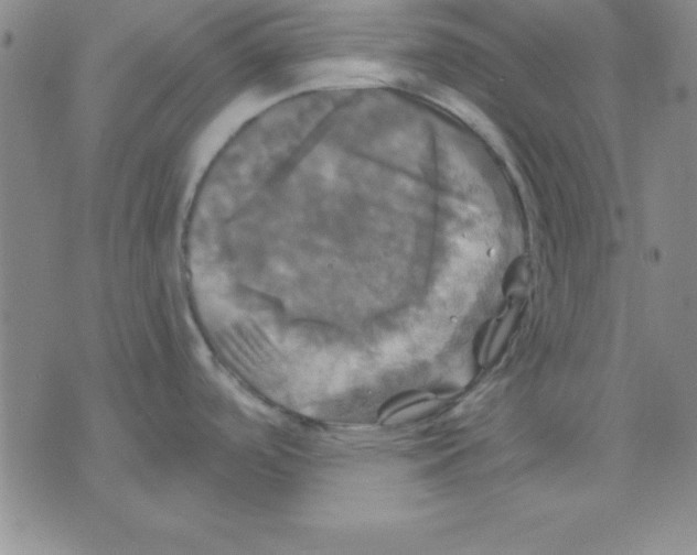 X0000075901488200610151803