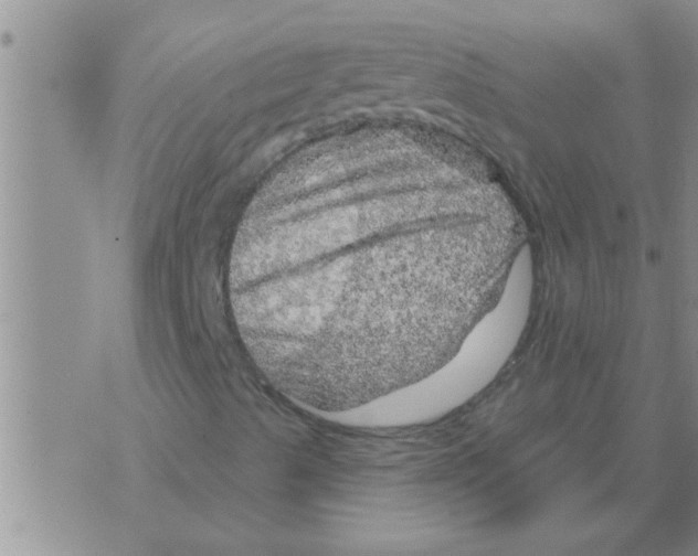 X0000075901489200610151803