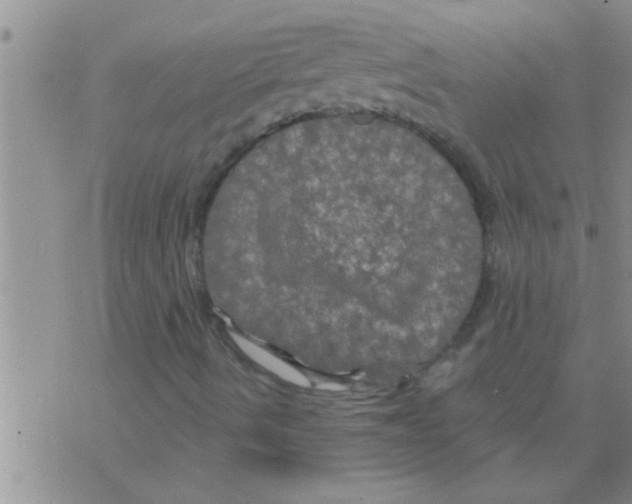 X0000075901490200610151803