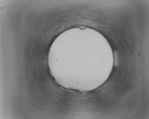 X0000075901491200610151803