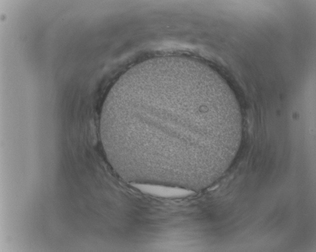 X0000075901493200610151803