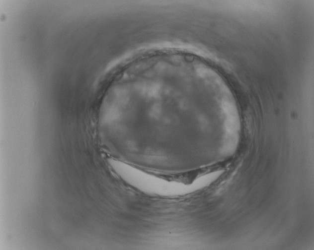 X0000075901494200610151803