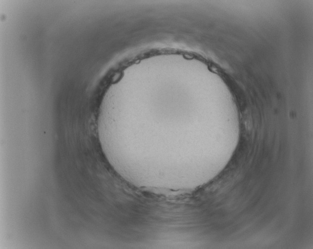 X0000075901495200610151803