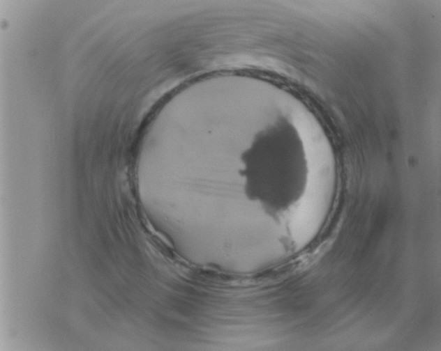 X0000075901497200610151803