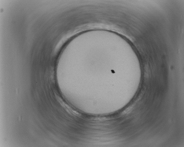 X0000075901499200610151803