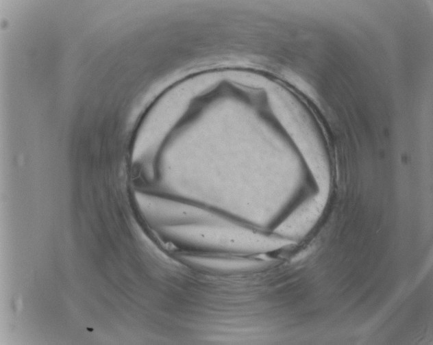 X0000075901500200610151803