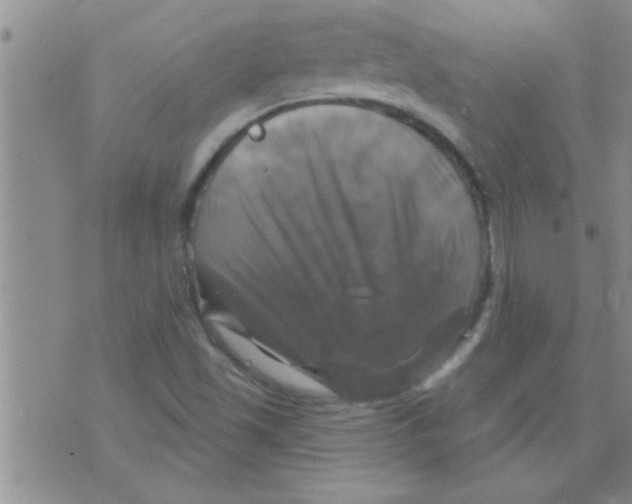 X0000075901501200610151803