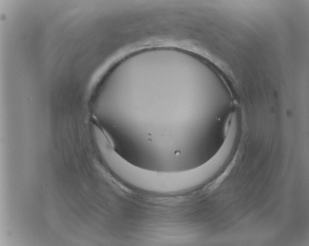 X0000075901502200610151803