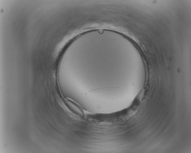 X0000075901503200610151803