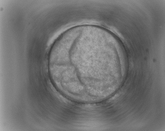 X0000075901504200610151803