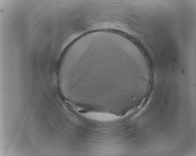 X0000075901505200610151803