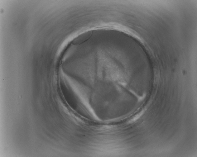 X0000075901506200610151803