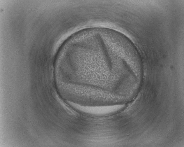 X0000075901507200610151803