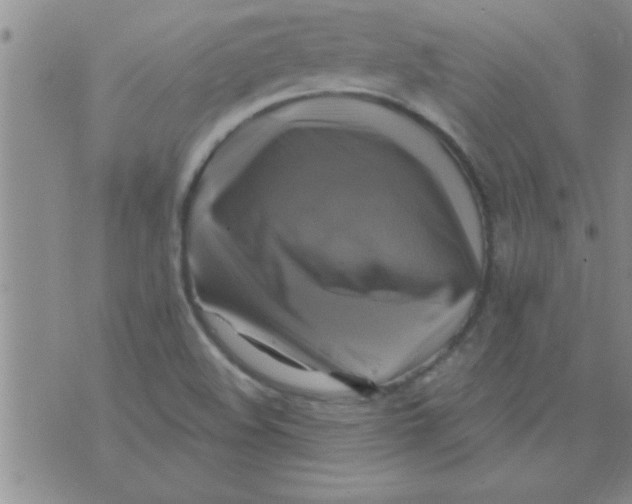 X0000075901508200610151803