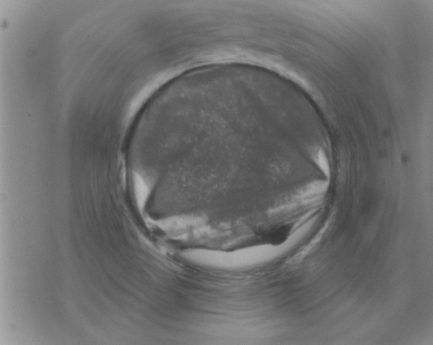 X0000075901509200610151803